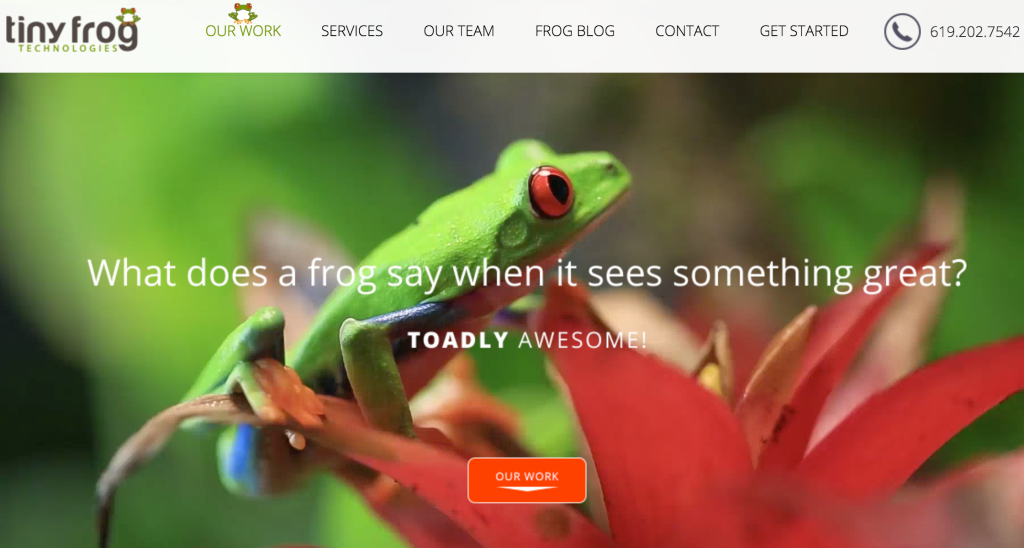 The Tiny Frog Technologies website