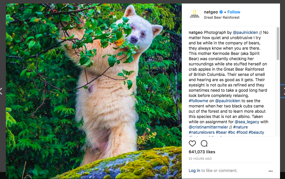 Best Instagram Campaigns - National Geographic