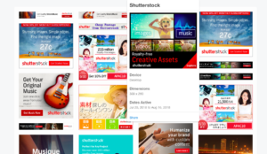 Moat review: Shutterstock uses Moat Pro