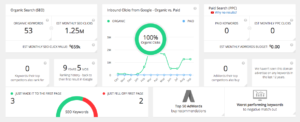 SpyFu Review: SEO