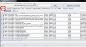 Screaming Frog review: internal tab