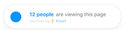 Proof's Live Visitor notifications show you many people are viewing a page at a given time 