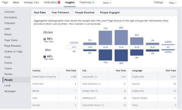 audience breakdown analytics on Facebook
